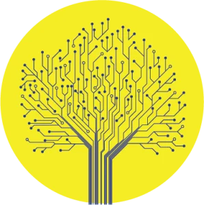 Network Status Open Fibre